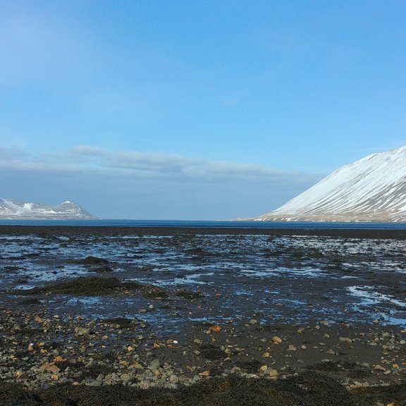 Séð út Kolgrafafjörð