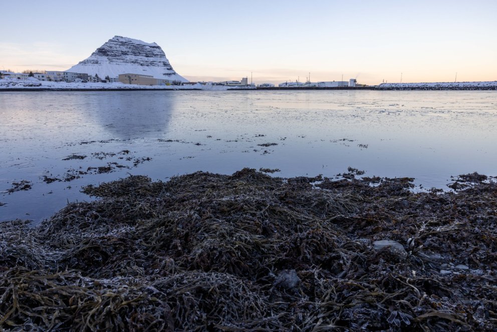 Er lögheimili rétt skráð?