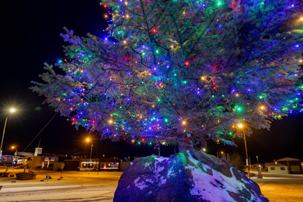 Mynd: Tómas Freyr Kristjánsson