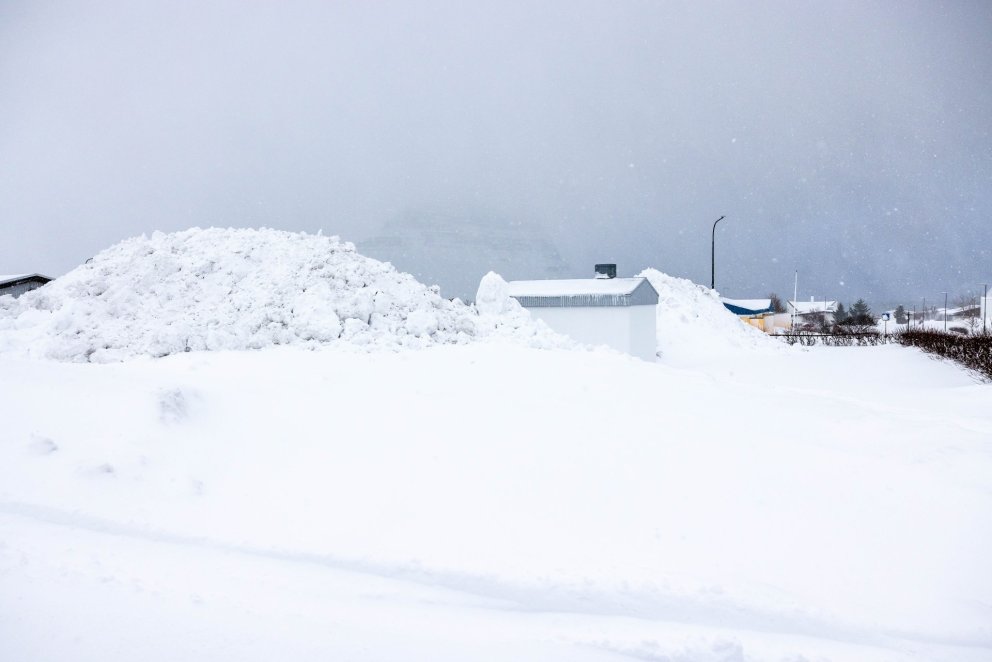 Mynd: Tómas Freyr Kristjánsson