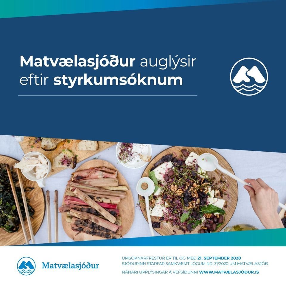 Matvælasjóður auglýsir eftir styrkumsóknum