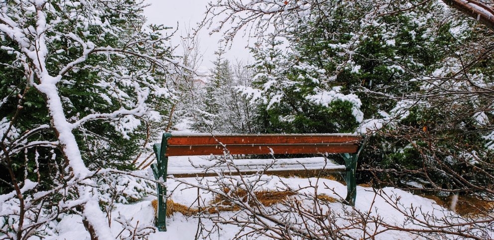 18 kwietnia 2020. Opady śniegu w Grundarfjörður. Zdjęcie ze szkółki leśnej.