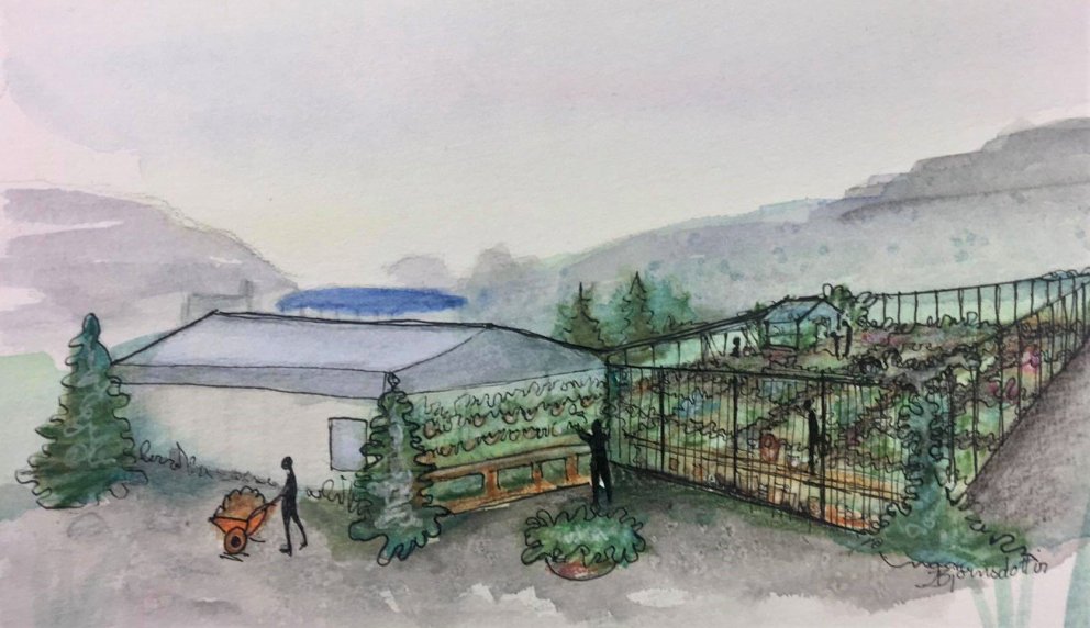 Græn vin í Grundarfirði - mynd teiknuð af listakonunni Ingu Björnsdóttur.