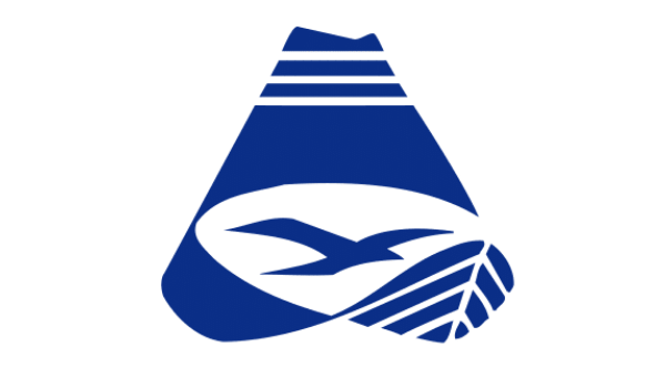 Local government election - Pre voting