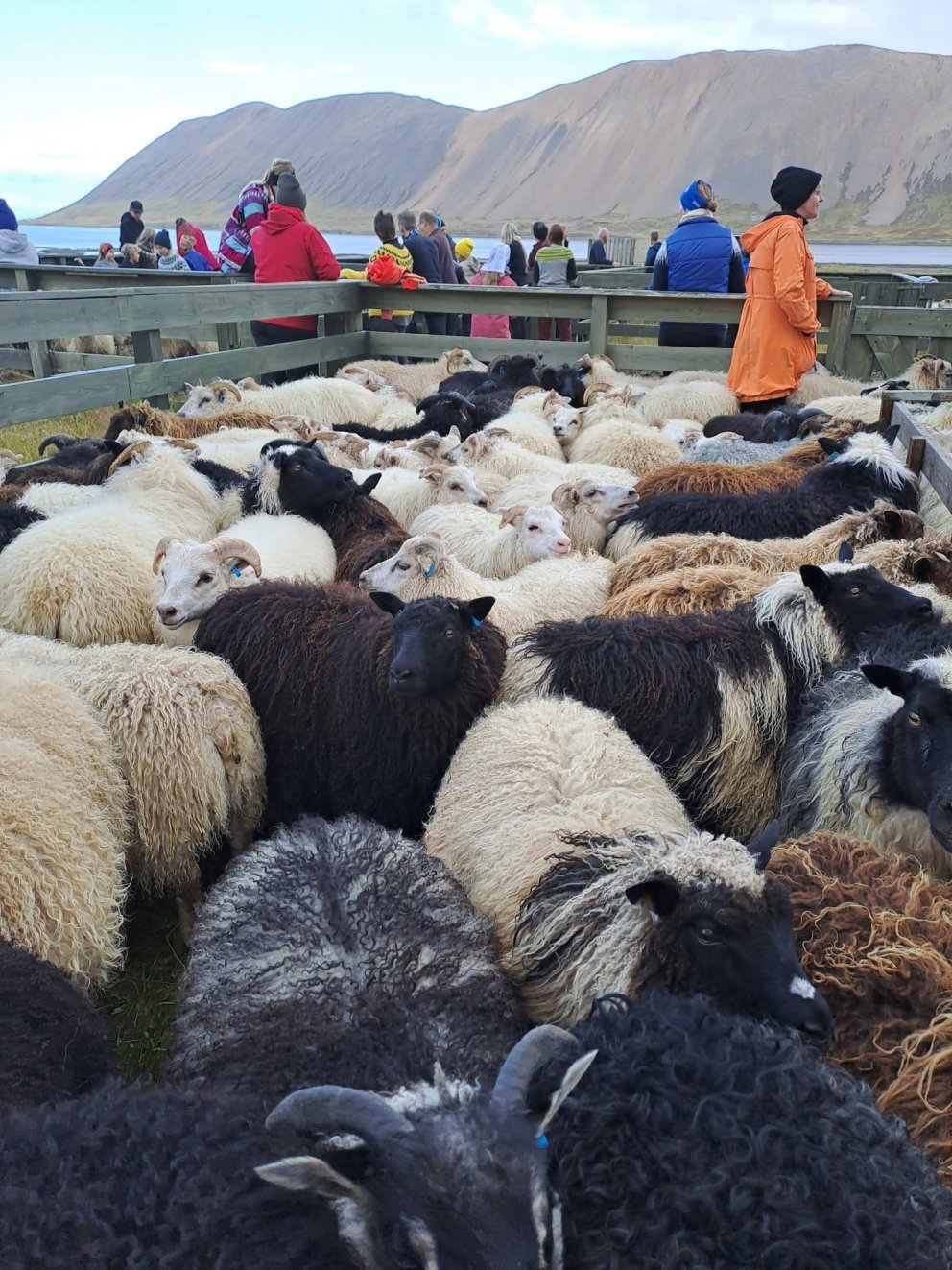 Mynd úr ljósmyndasamkeppni 2023: Sigríður Diljá Guðmundsdóttir