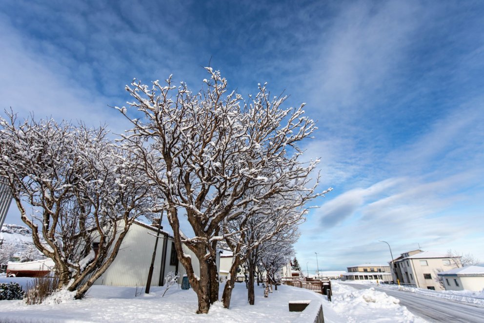 Frá bæjarstjóra, 14. mars 2020