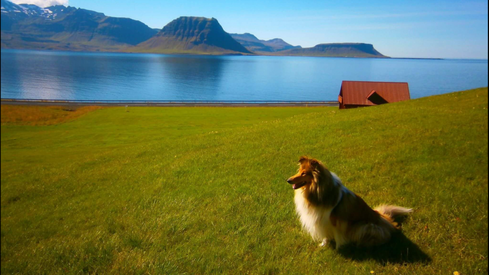 Ljósmyndasamkeppni Grundarfjarðar 2018