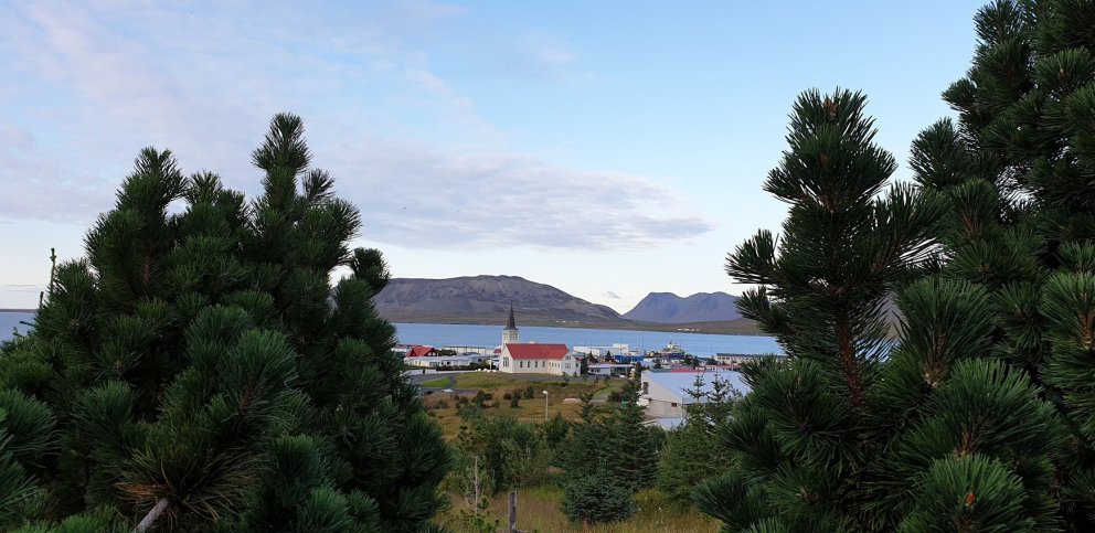 Frá bæjarstjóra, 27. mars 2020