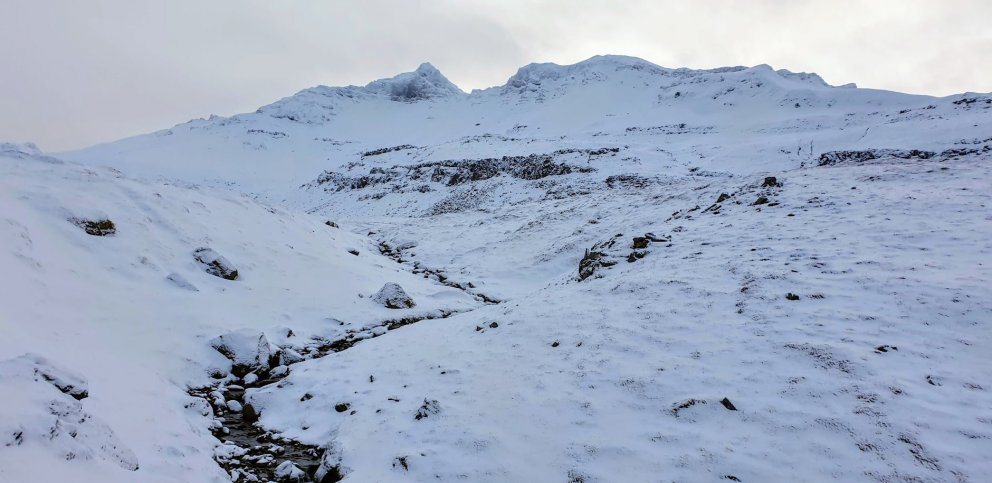 Örninn, nóvember 2021