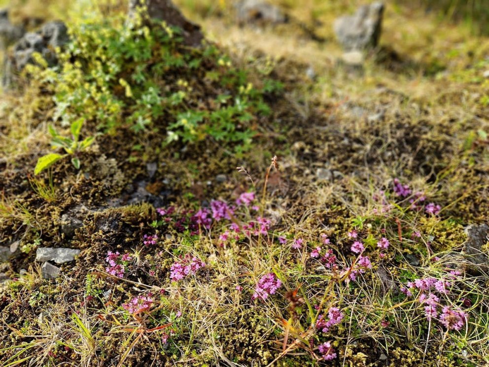 Kveðja og boð um aðstoð frá bæjarstjórn Grundarfjarðarbæjar