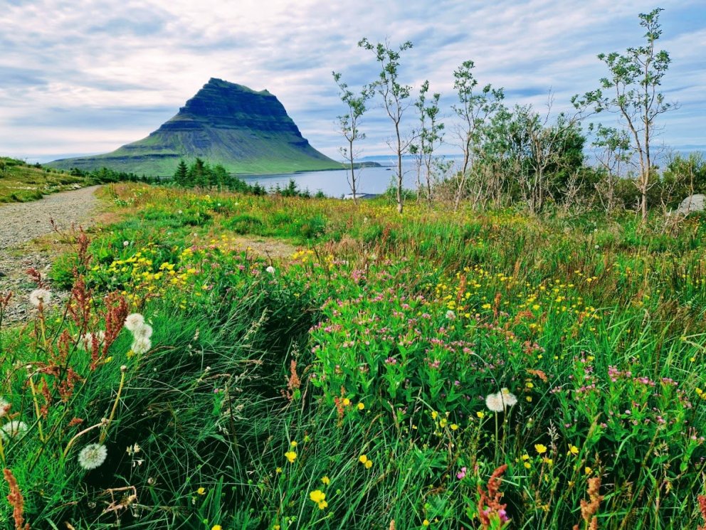 Sumarnámskeið - síðari hluti
