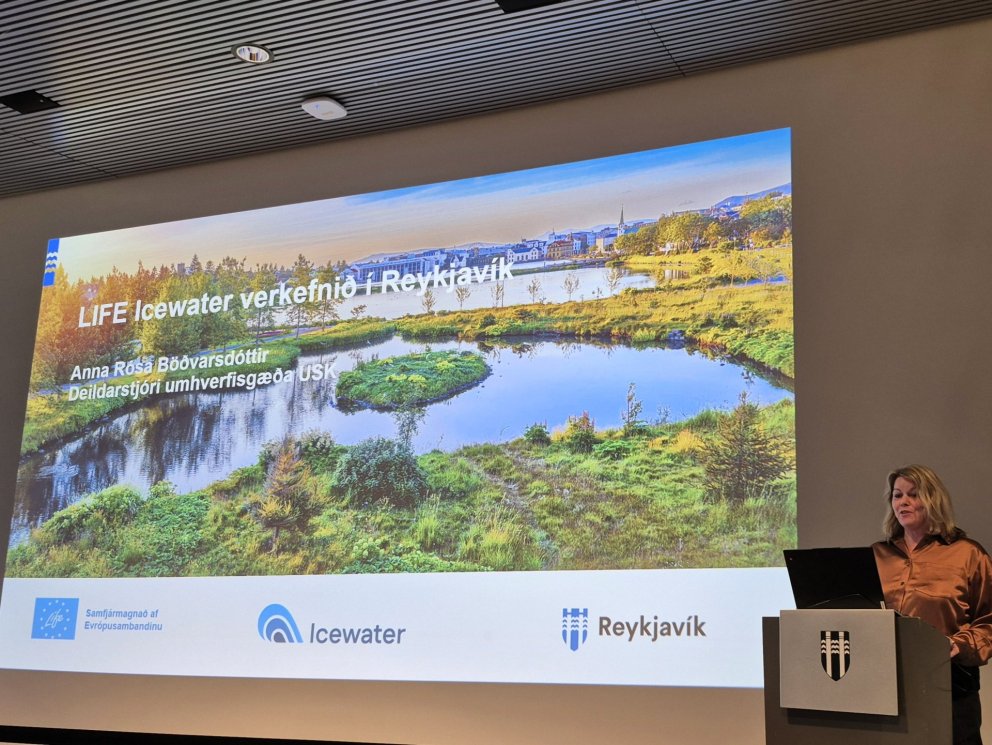 Anna Rósa Böðvarsdóttir verkefnastjóri LIFE-Icewater hjá Reykjavíkurborg