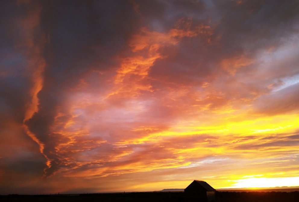 Ljósmyndari Sigríður Diljá Guðmundsdóttir