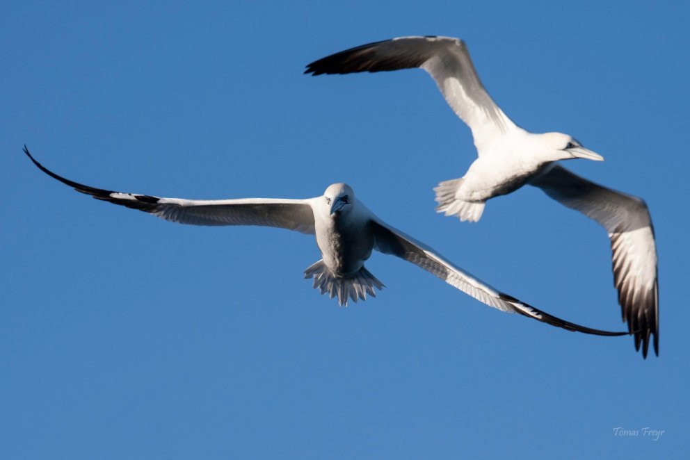 Ljósmyndasamkeppni – til 14. nóvember