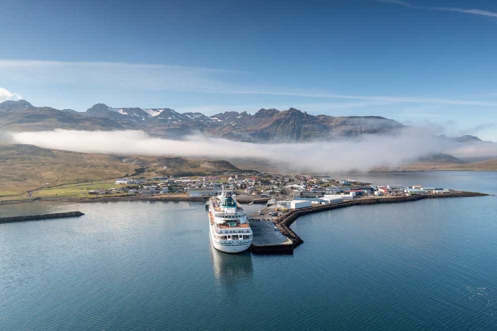 Mynd - Tómas Freyr Kristjánsson