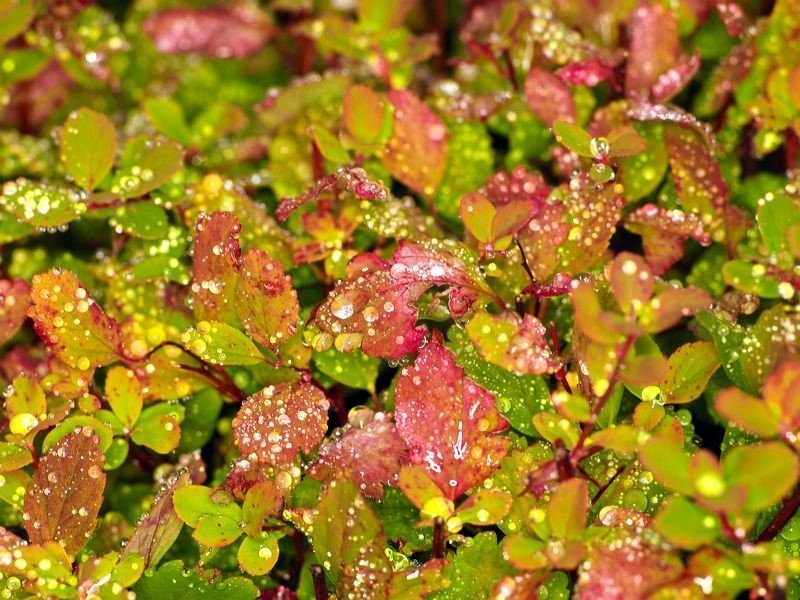 Framkvæmdasjóður ferðamannastaða