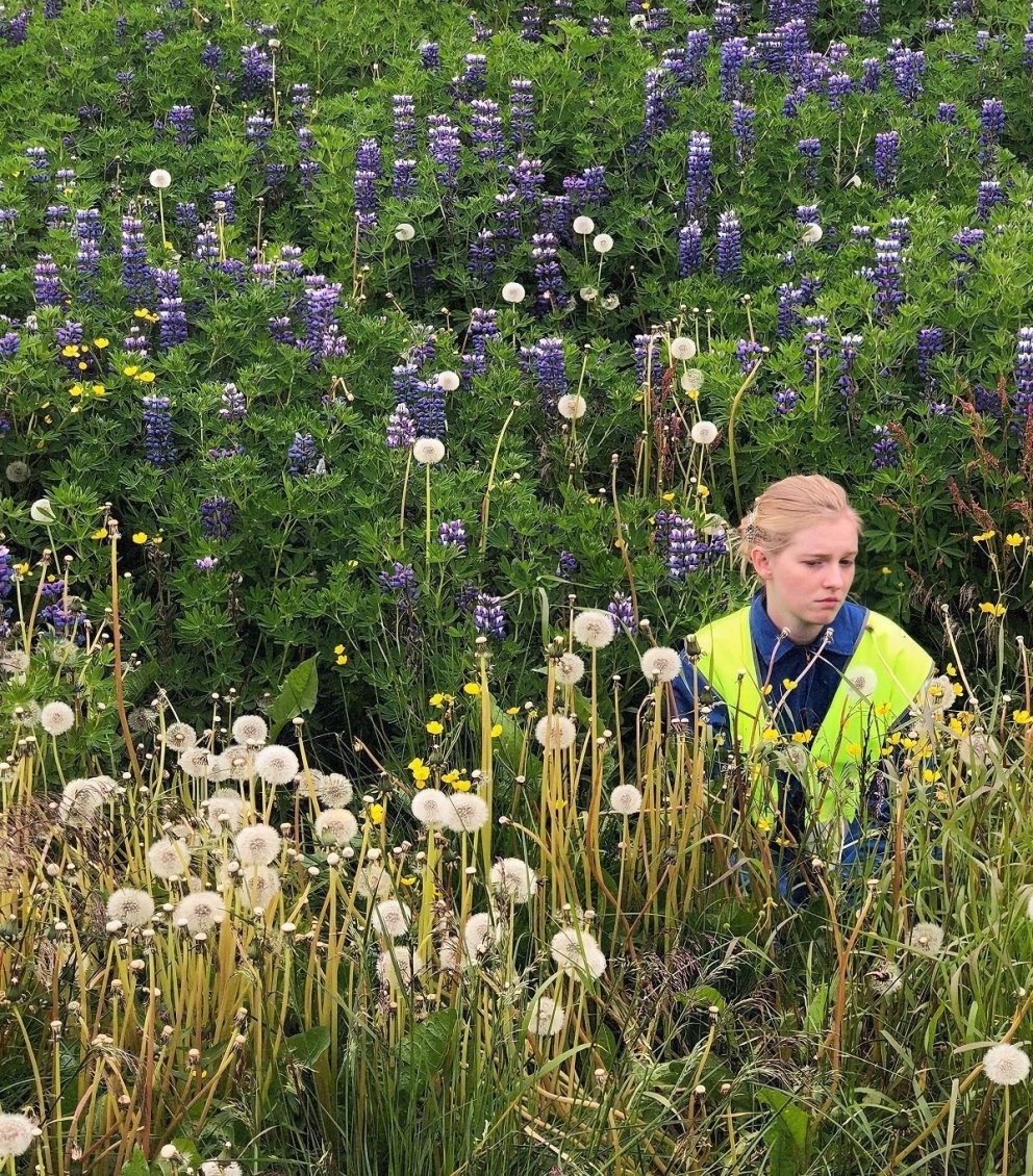Leiksýningin Flokkstjórinn