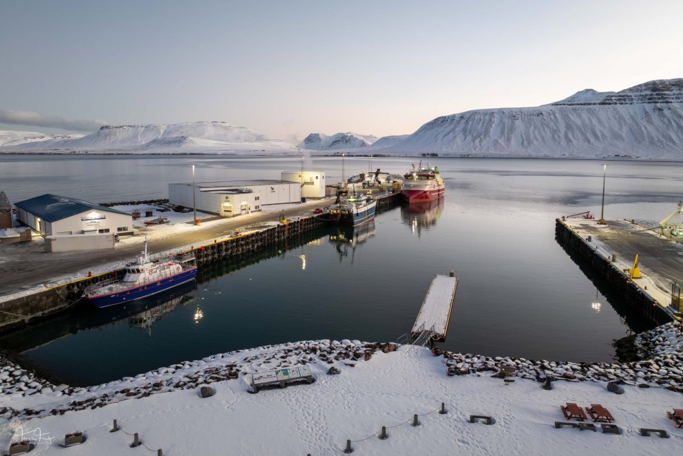 Mynd: Tómas Freyr Kristjánsson