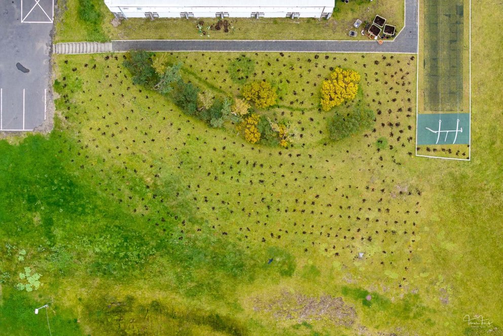 Yfirlitsmynd sem sýnir svæðið sem var gróðursett á. Mynd: Tómas Freyr Kristjánsson