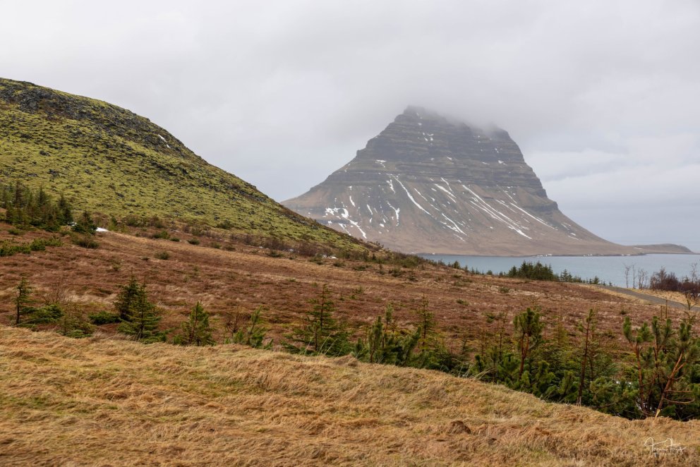 Opnunartímar yfir áramót