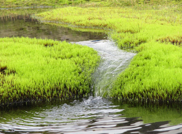 Vesturland í sókn - Kolefnisspor Vesturlands