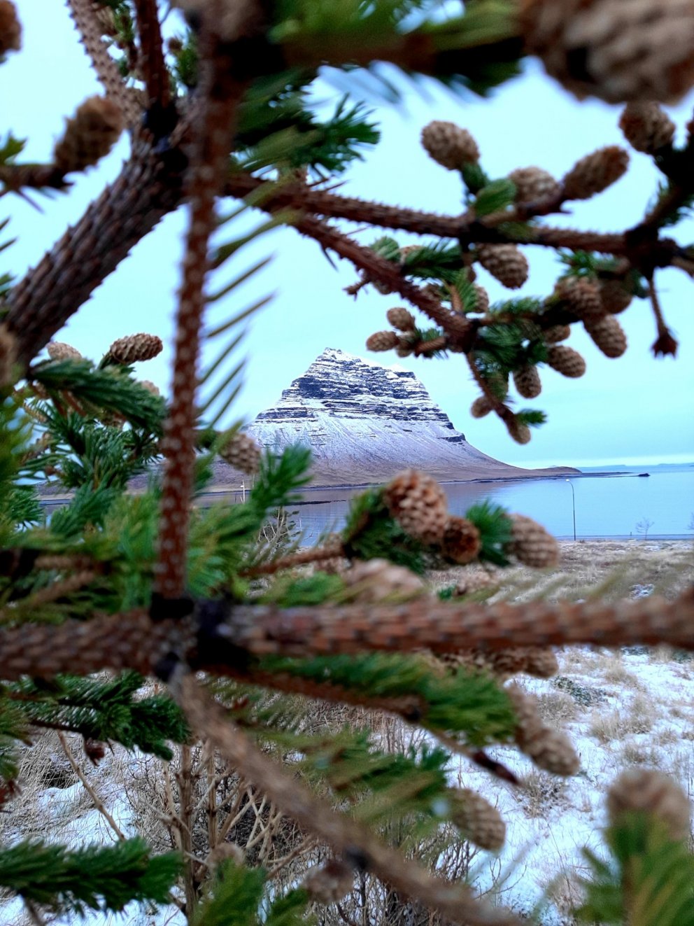 Vinningsmynd 2020 - tekin af Olgu Sædísi Aðalsteinsdóttur