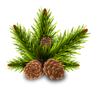 Upplýsingar frá heilsugæslunni í Grundarfirði