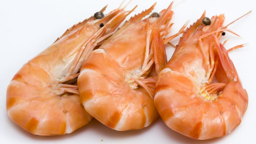 FISK Seafood ehf. – Uppsögn starfsmanna