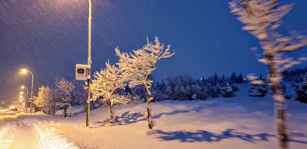 Snjókoma í janúar 2020. Mynd: Björg Ágústsdóttir