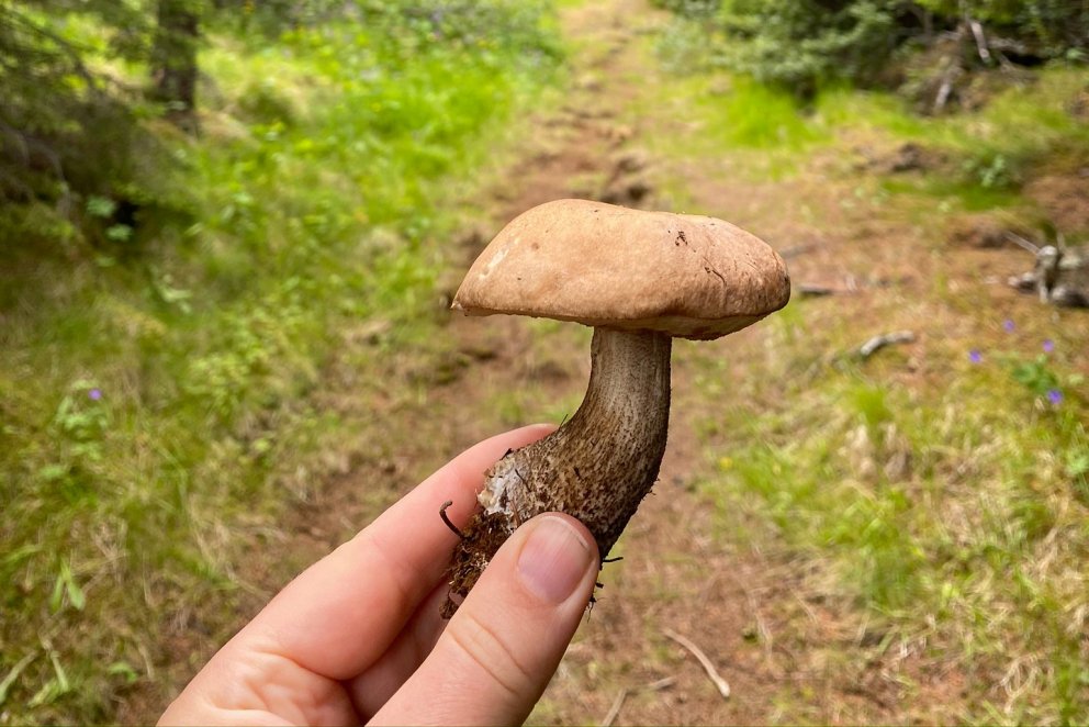 Spjallarinn fimmtudagskvöld 13. ágúst