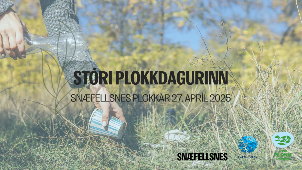 Stóri plokkdagurinn 2025