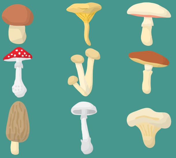 Spjallarinn verður næst fimmtudag 13. ágúst