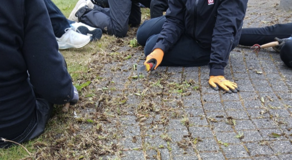 Fjölbreytt verkefni vinnuskólans sumarið 2025